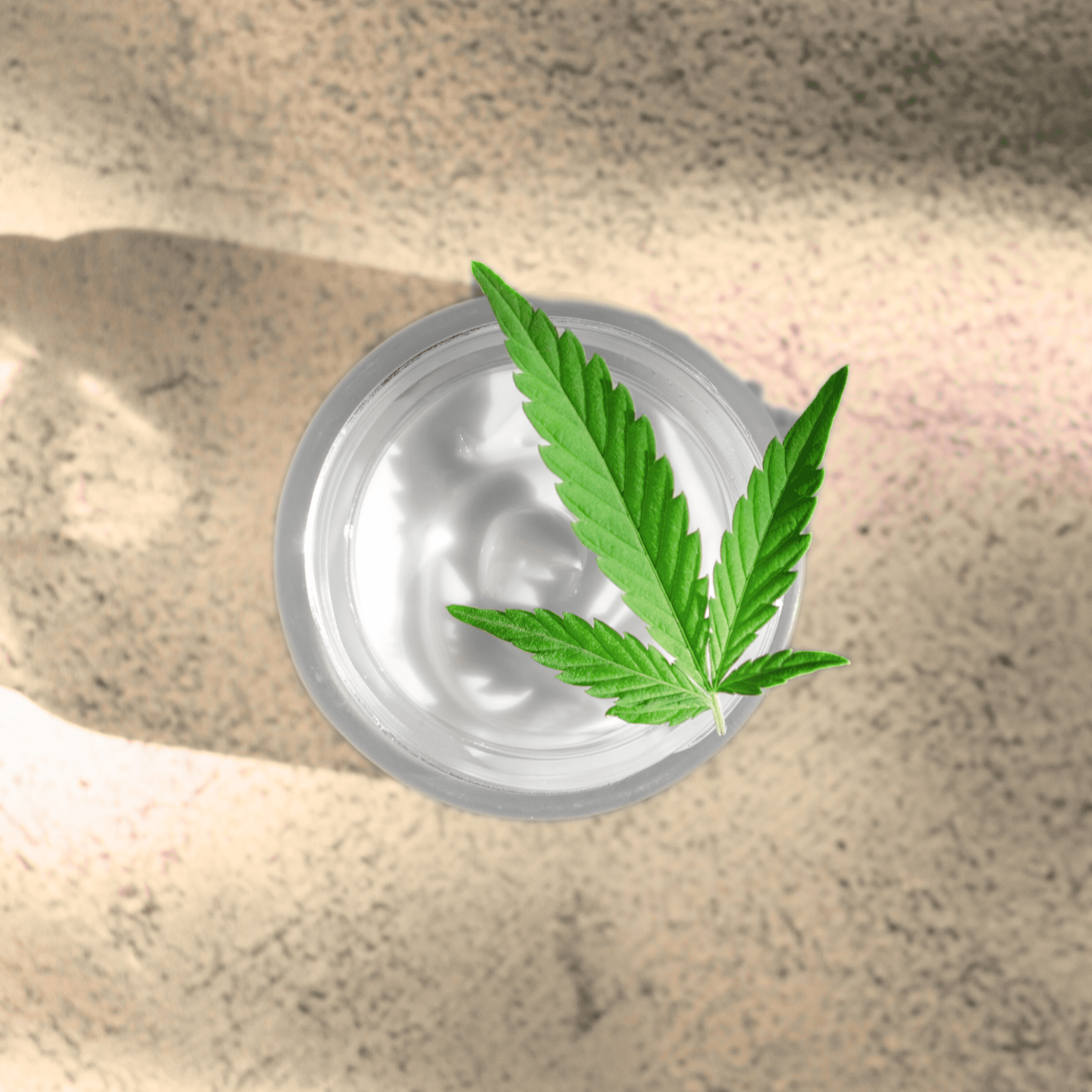 CBD Hautpflege-Creme mit Hanfblatt Vollextrakt